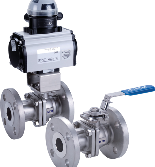 Series EF190FE Two-piece Full Bore Ball Valves